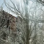Le * Sierra Nevada